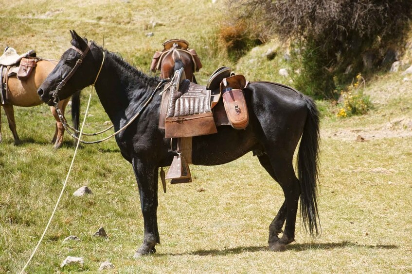 Picture 7 for Activity From Arequipa: Colca Valley/Canyon 2-Day Tour & Horse Riding