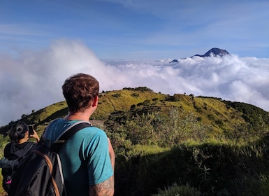 From Yogyakarta: 2 Days 1 Night Mount Merbabu Camping Trip