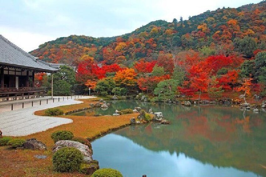 Tenryu-ji Temple in Autumn
