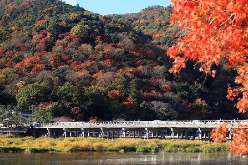 Togetsukyo Bridge in Autumn