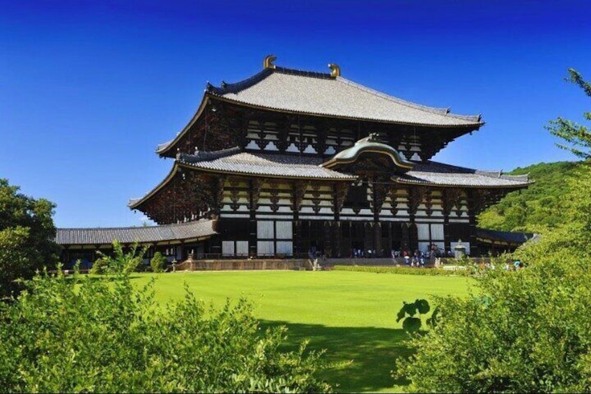 Nara, Todaiji Temple & Kuroshio Market Day BUS Tour from Osaka