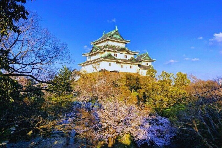 Nara, Todaiji Temple & Kuroshio Market One Day Tour from Osaka