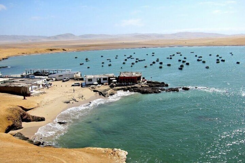 Ballestas Islands and Paracas Reserve Tour from San Martín Cruise