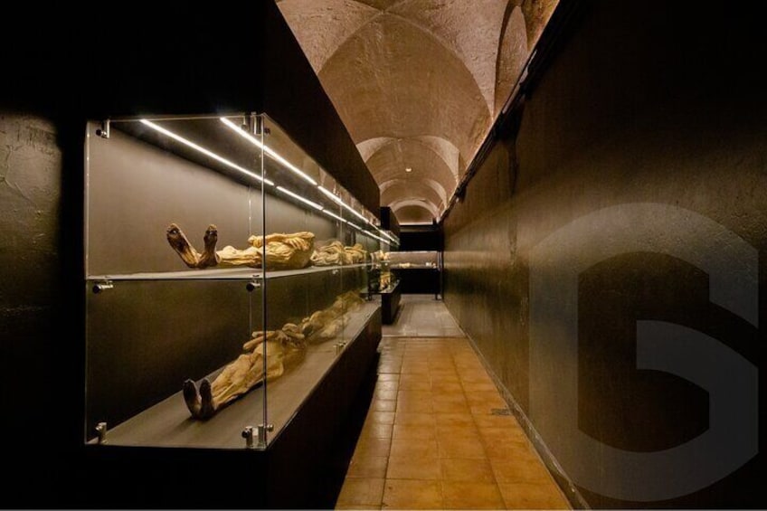 Guanajuato: Mummies, Mines and Tunnels Guided Public Tour