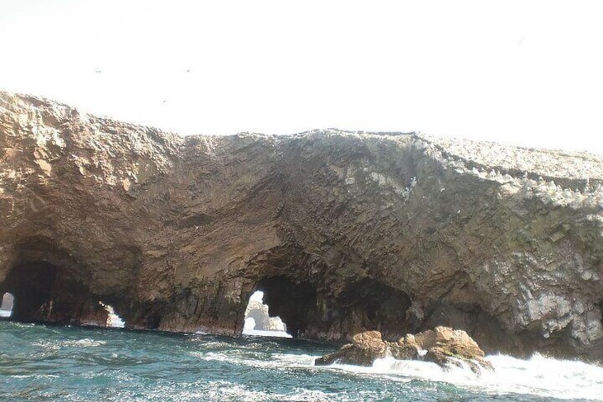 Ballestas Islands Tour by Boat for Cruise Travelers