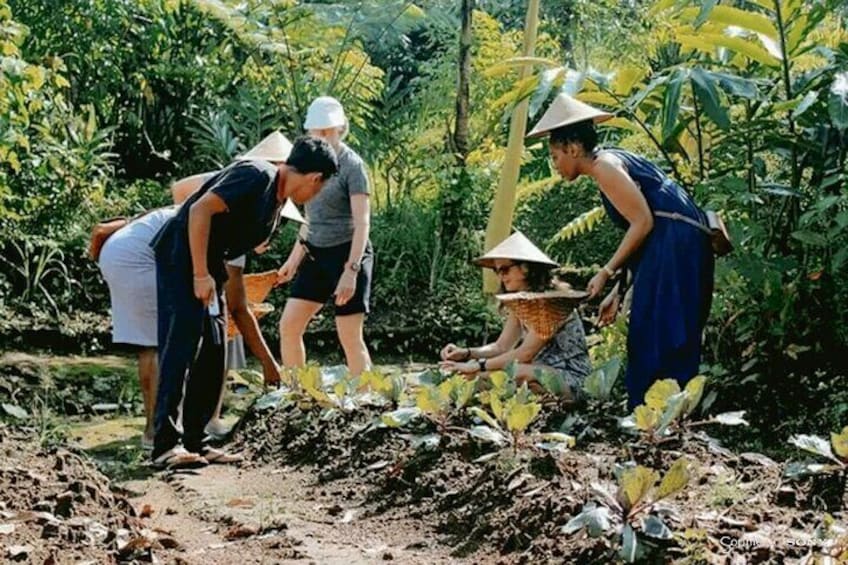 Traditional Cooking Class In Ubud With Local Balinese Family