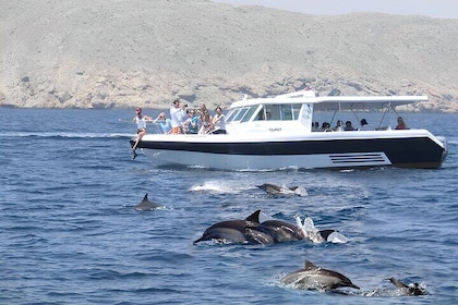 Dolphin Watching and Snorkelling Activity in Muscat