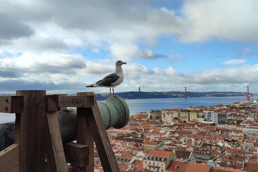  Saint George Castle Guided Tour from Lisbon