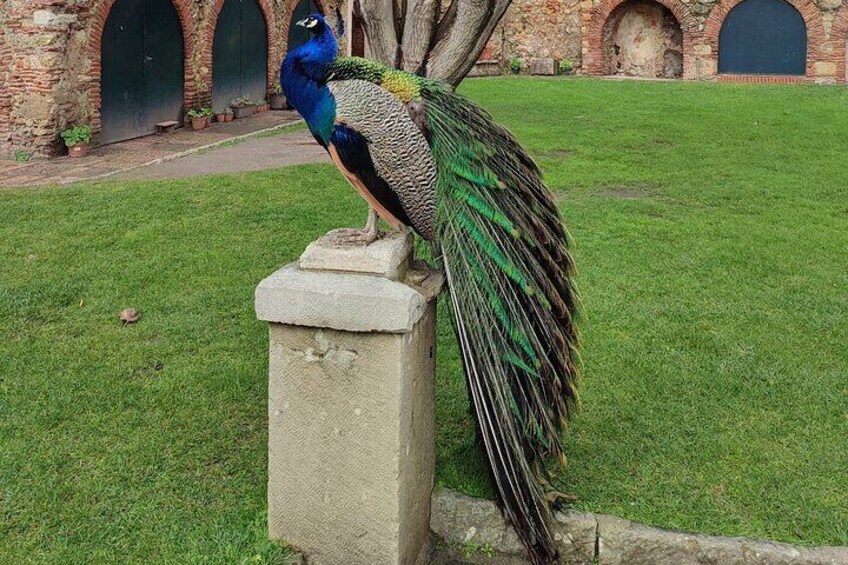  Saint George Castle Guided Tour from Lisbon