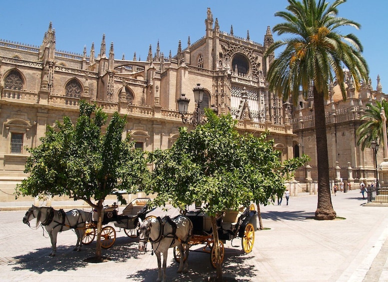 Picture 1 for Activity Seville: Cathedral & Giralda Guided Tour with Entry Tickets