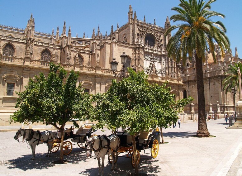 Picture 1 for Activity Seville: Cathedral & Giralda Guided Tour with Entry Tickets