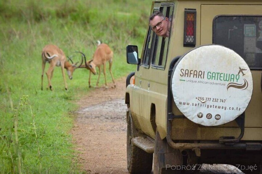 Game viewing - Mikumi National Park