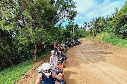 Roatan Private quad bike Guided Jungle Tour