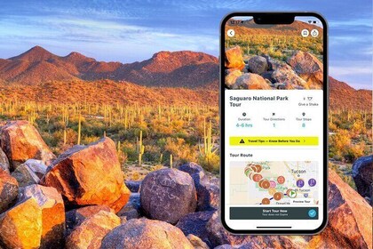 Self-Guided Saguaro National Park Driving Tour