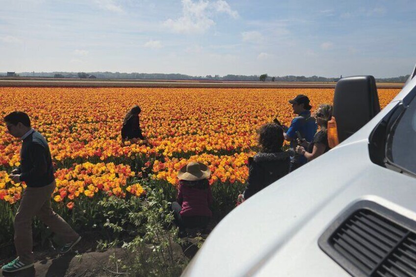 Amsterdam Private Minivan Tour to Keukenhof
