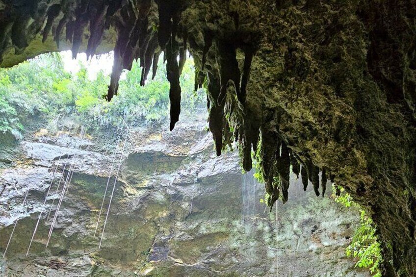 Camuy River Cave Park with Lunch From San Juan 