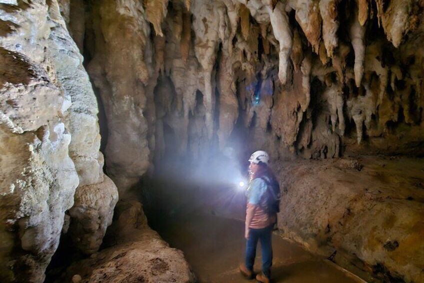 Camuy River Cave Park Tour From San Juan 