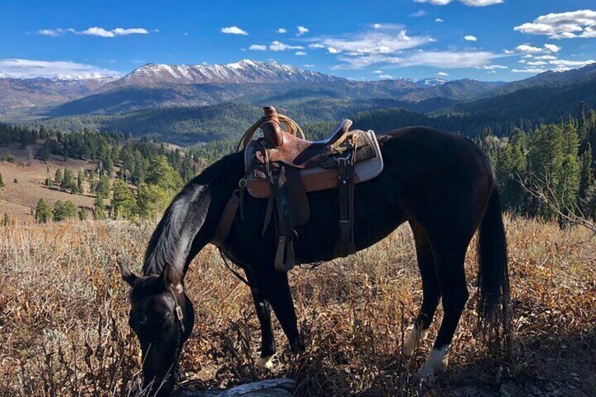 Private Horseback Riding in Wyoming