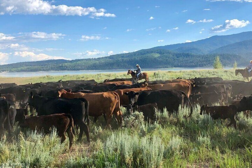 Private Horseback Riding in Wyoming