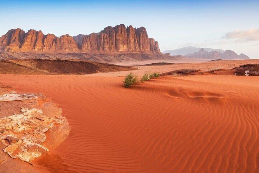 Petra & Wadi Rum Full Day Trip