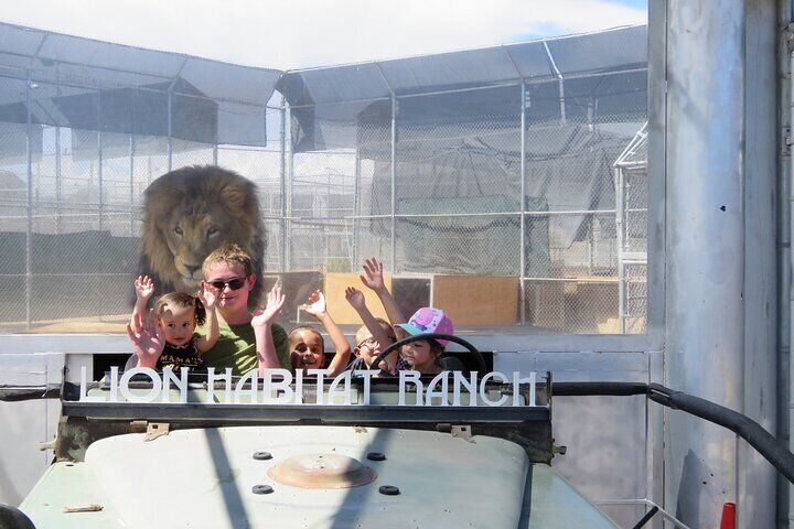 Lion Habitat Ranch Admission Ticket 