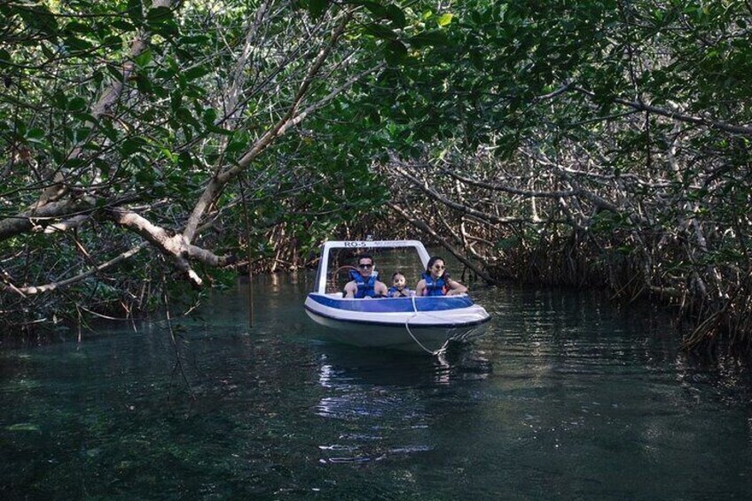 Drive Best Speedboat in Laguna Nichupte Cancún Jungle Tour