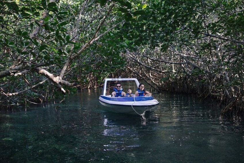 Drive Best Speedboat in Laguna Nichupte Cancún Jungle Tour