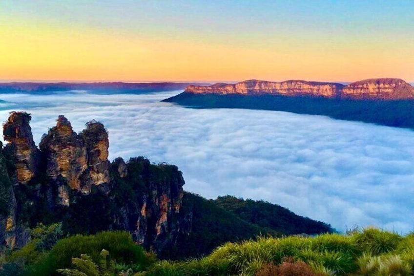 Blue Mountains Day, Sunset Tour & Glow Worms Night Adventure 