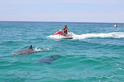 Jet Ski in Cape Coral at Sanibel Island and Fort Myers Beach