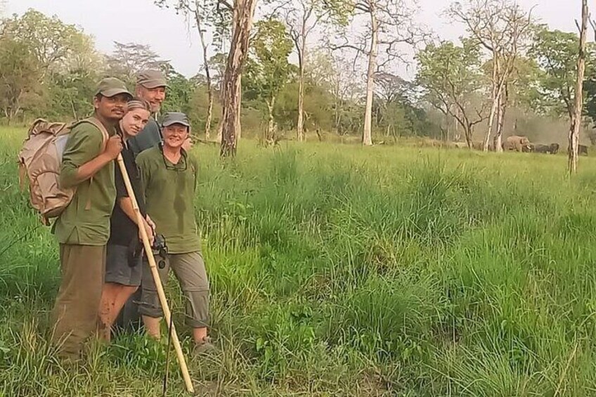 Herds of Elephant near by our tree house