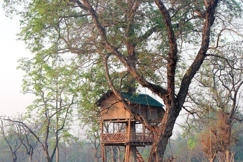 Tower Night Stay in Bardia National Park, Tree House in Bardia
