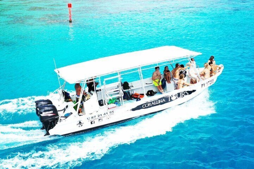 Half Day Snorkeling in Moorea