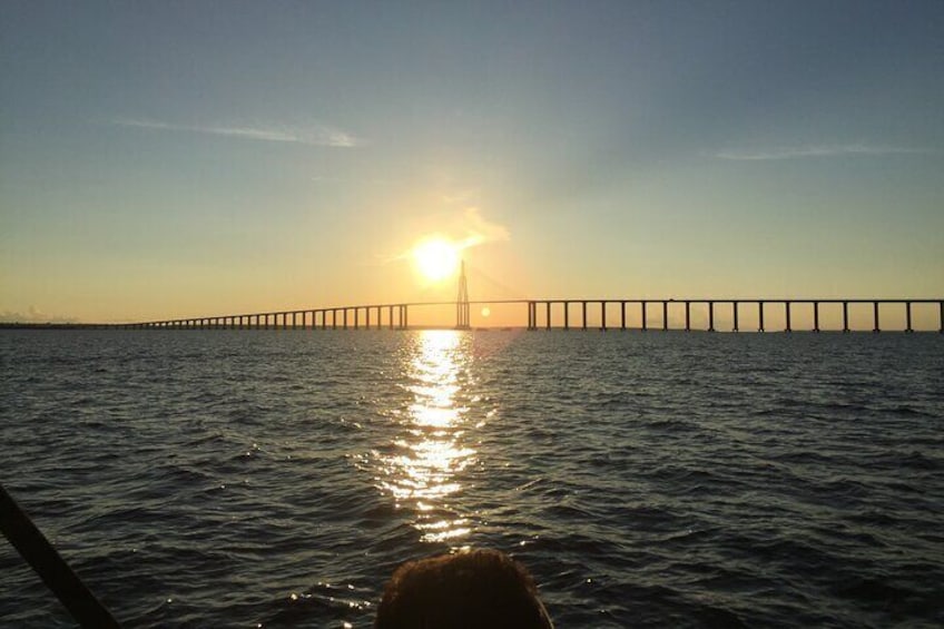 The Rio Negro Bridge
