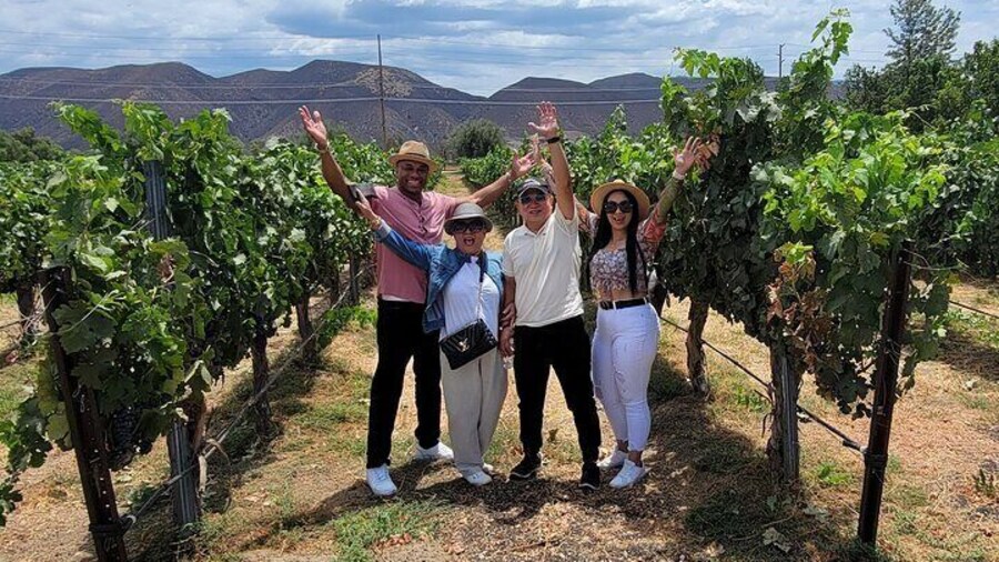 All-Inclusive Wine Tasting Tour + Lunch in Temecula Wine Country