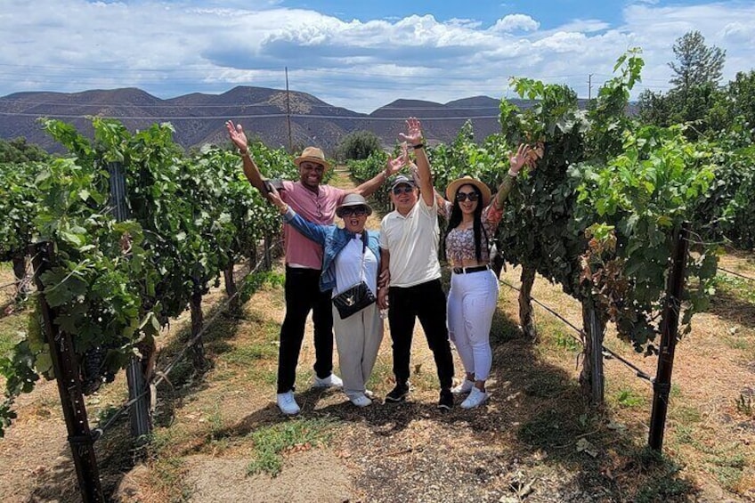 All-Inclusive Wine Tasting Tour + Lunch in Temecula Wine Country