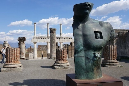 Rome to Pompeii Private Tour Hotel Pickup and Lunch at Wine Farm