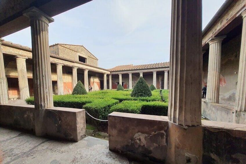 Rome to Pompeii Private Tour Hotel Pickup and Lunch at Wine Farm