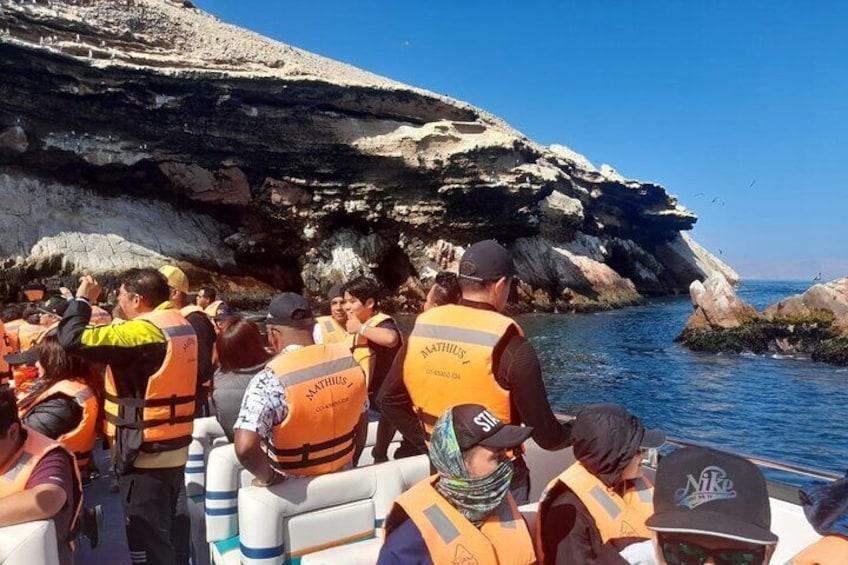 Ballestas Islands Tour from Puerto San Martin Cruise