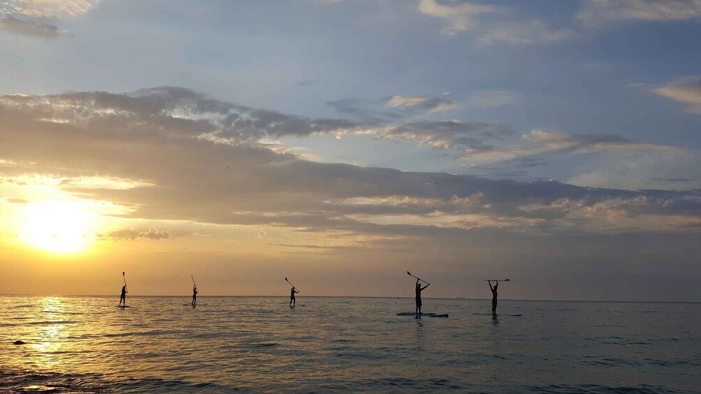 Picture 6 for Activity Portorož: Sunset Coastline Stand-Up Paddleboarding Tour