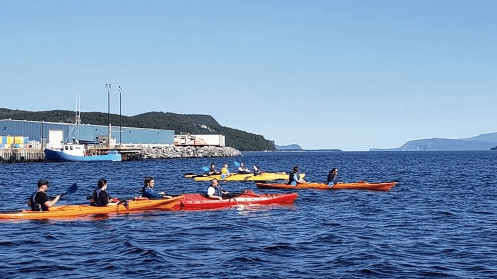 Humber Arm South: Bay of Islands Guided Kayaking Tour