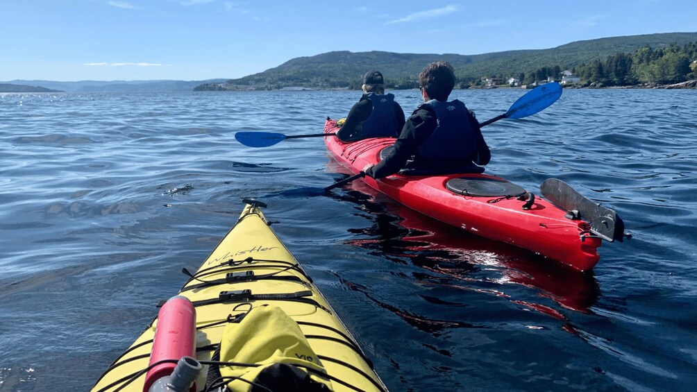 Picture 3 for Activity Humber Arm South: Bay of Islands Guided Kayaking Tour