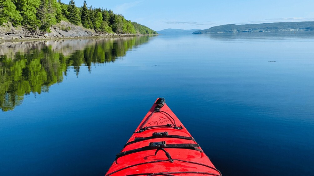 Picture 4 for Activity Humber Arm South: Bay of Islands Guided Kayaking Tour