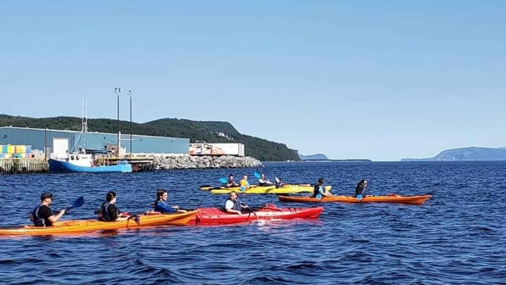 Humber Arm South: Bay of Islands Guided Kayaking Tour