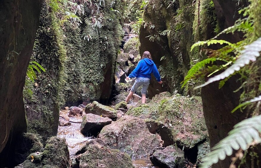 Picture 4 for Activity Taupo: Lake Taupo Western Bays Catamaran Tour with Bush Walk