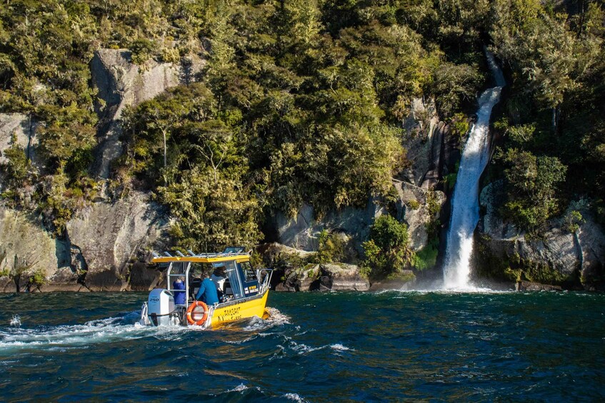 Picture 2 for Activity Taupo: Lake Taupo Western Bays Catamaran Tour with Bush Walk