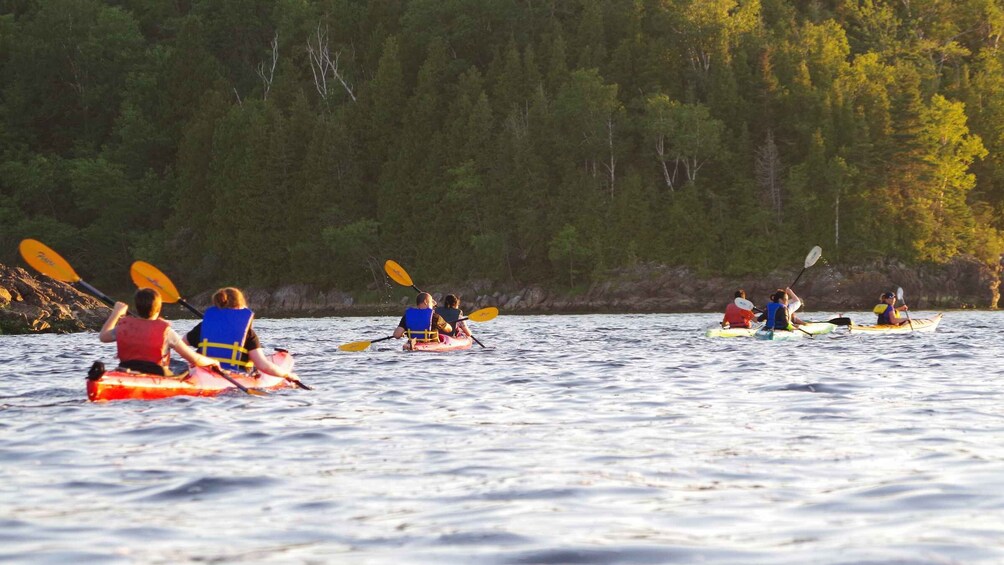 Picture 6 for Activity Saint John River: River Relics Kayak Tour