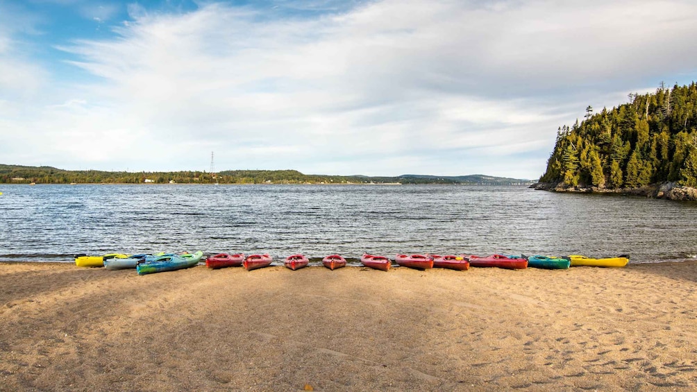 Picture 1 for Activity Saint John River: River Relics Kayak Tour