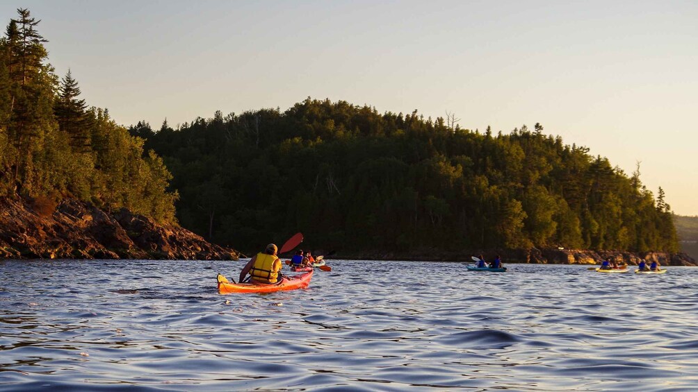 Picture 2 for Activity Saint John River: River Relics Kayak Tour