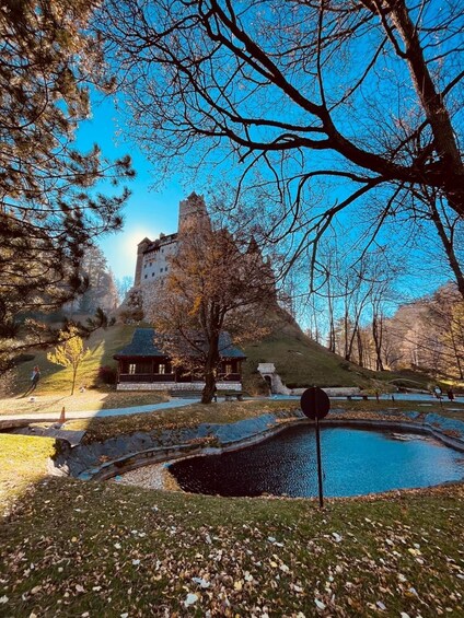 Picture 1 for Activity From Bucharest: Libearty Bear Sanctuary and Dracula's Castle