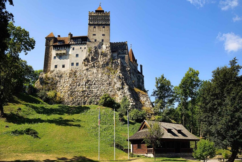 Picture 5 for Activity From Bucharest: Libearty Bear Sanctuary and Dracula's Castle